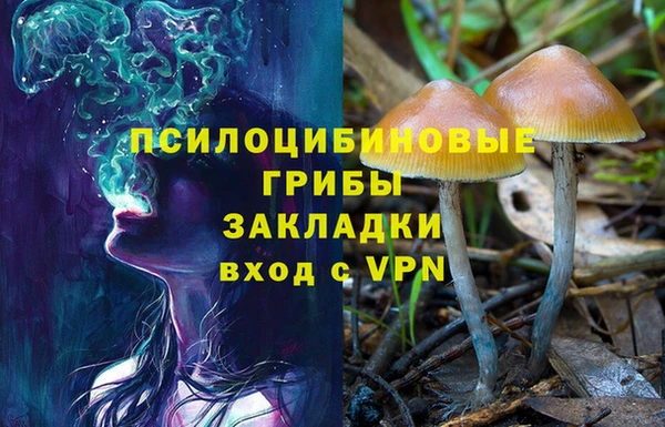 кокаин премиум Богданович