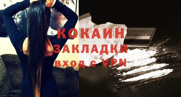 крисы Бронницы