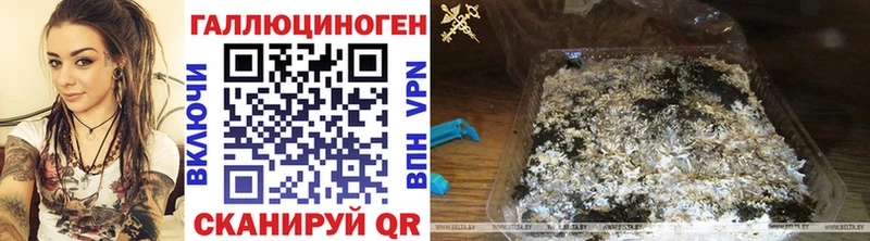 гидра ТОР  Белозерск  Галлюциногенные грибы Magic Shrooms 